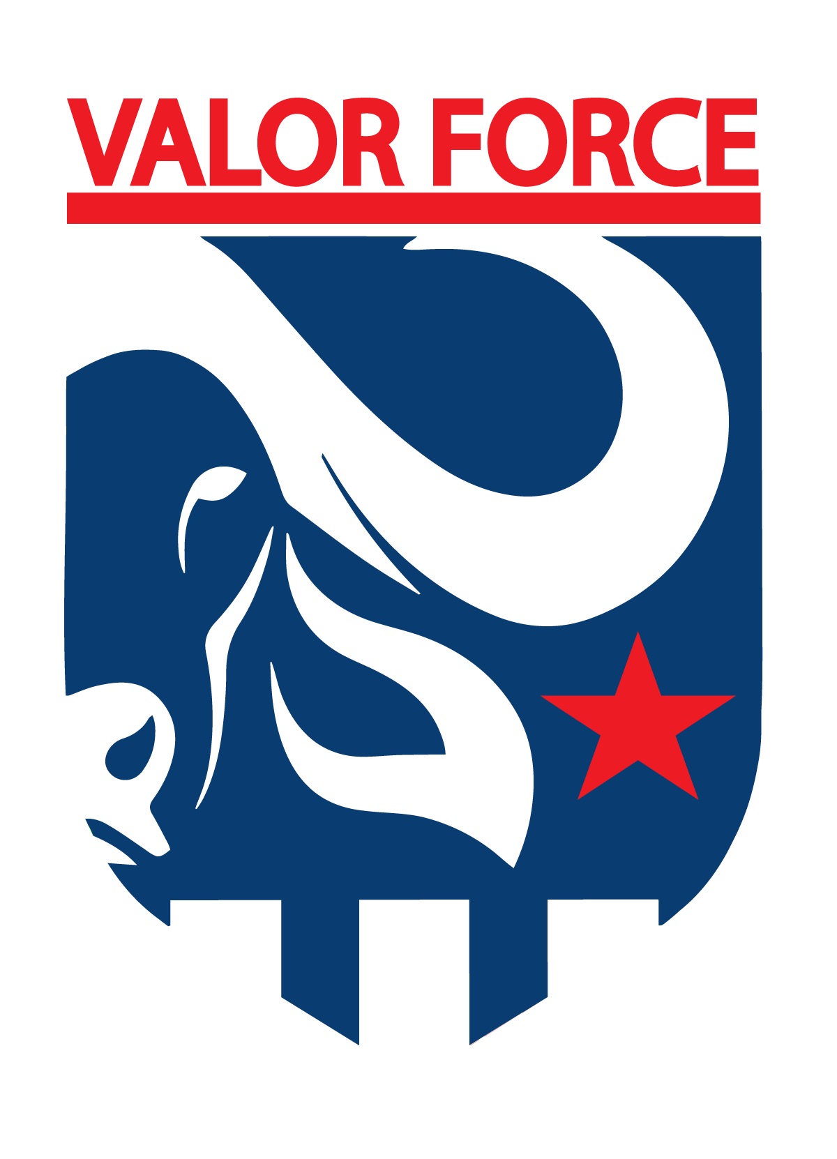 COMMANDERY TACTICAL LLC COMMANDERY TACTICAL LLC